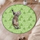 thumbnail image 4 of Juguete Gatos Simulado Juguete Interactivo Persecución para Gatos Interior (cubierta Verde), 4 of 9