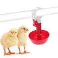 thumbnail image 5 of 10 bebederos automáticos para aves, comederos para pollos, gallinas, palomas y pollitos, herramientas de alimentación para aves (clip blanco y bebedero de manantial)., 5 of 5