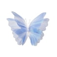 thumbnail image 4 of Adorno de mariposa gigante de gasa, hecho a mano, ligero, 3D, para colgar en la pared. Azul, 4 of 9