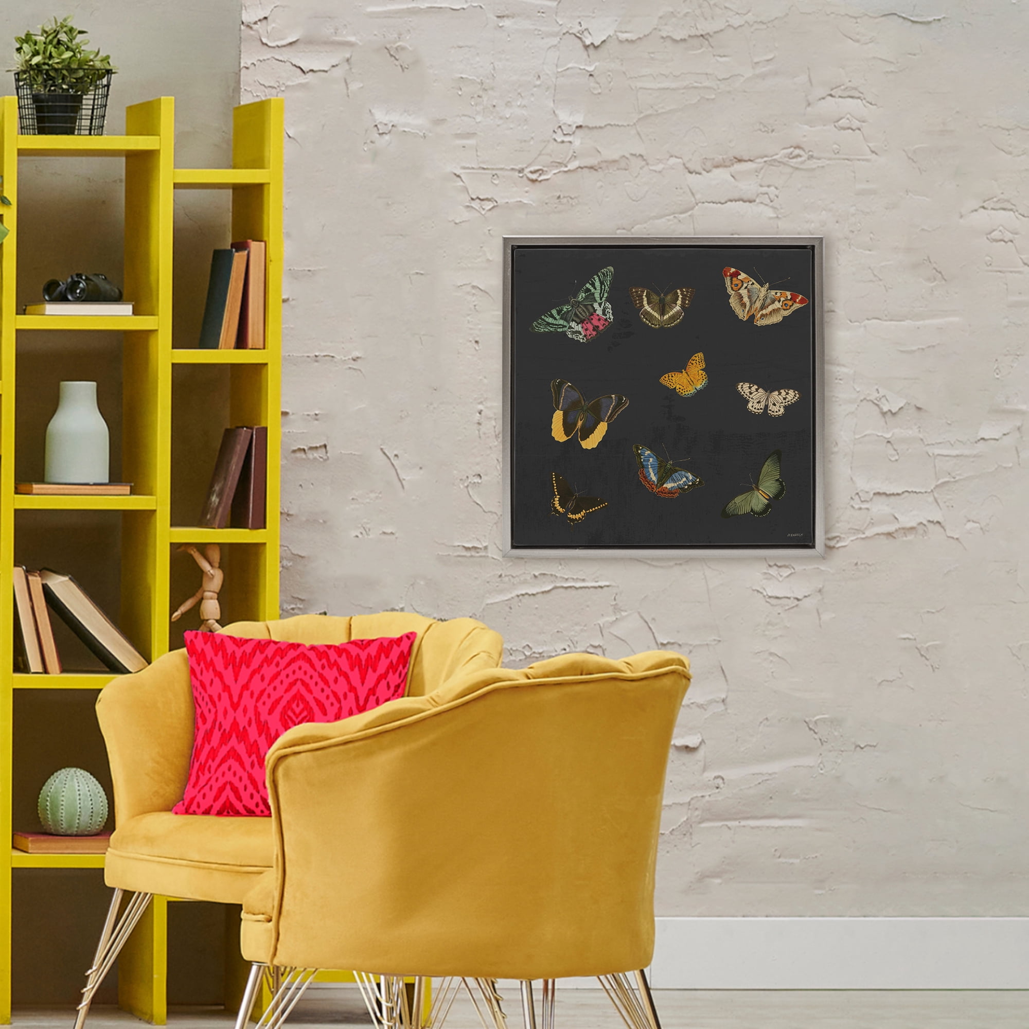 Stupell Industries Butterfly & Moth Collection Gray Framed Floater Canvas Wall Art, design by Dan Meneely