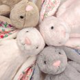 thumbnail image 3 of Jellycat Bonnie Rabbit Floral Ears Muñecos de Peluche Conejo Muñecas Kawaii Decoración de Habitación Juguete Sofá Suave Cojín Regalos de Cumpleaños para Niños

---, 3 of 10