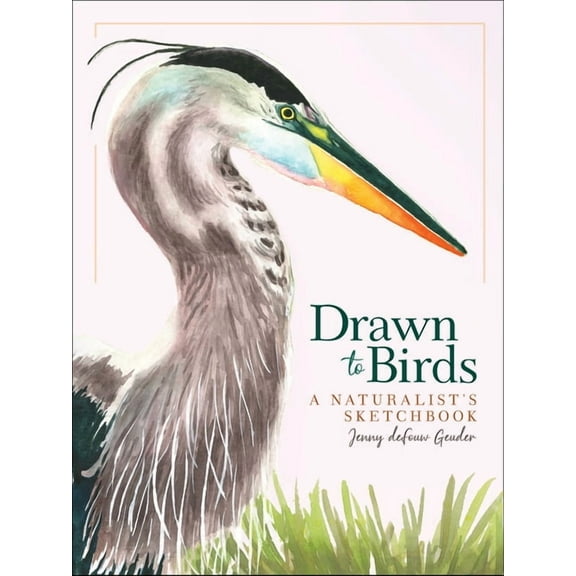 Jenny Geuder Art Drawn to Birds: A Naturalist's Sketchbook, (Hardcover)