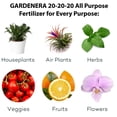 thumbnail image 5 of ⭐ 𝐁𝐄𝐒?𝐒𝐄𝐋𝐋𝐄𝐑 20-20-20 Water-Soluble Fertilizer – Powder for Liquid Plant Food for Indoor & Outdoor Plants, Orchids, Vegetables, Lawns, Flowers – 20 20 20 Fertilizer - 10 Quarts, 5 of 7