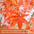 thumbnail image 6 of Kojooin Artificial Maple Tree, Large Faux Tree Soft Silk Autumn Maple Decorative Plant with Plastic Pot for Party Home Living Room Decoration Thanksgiving Harvest, 6 of 7