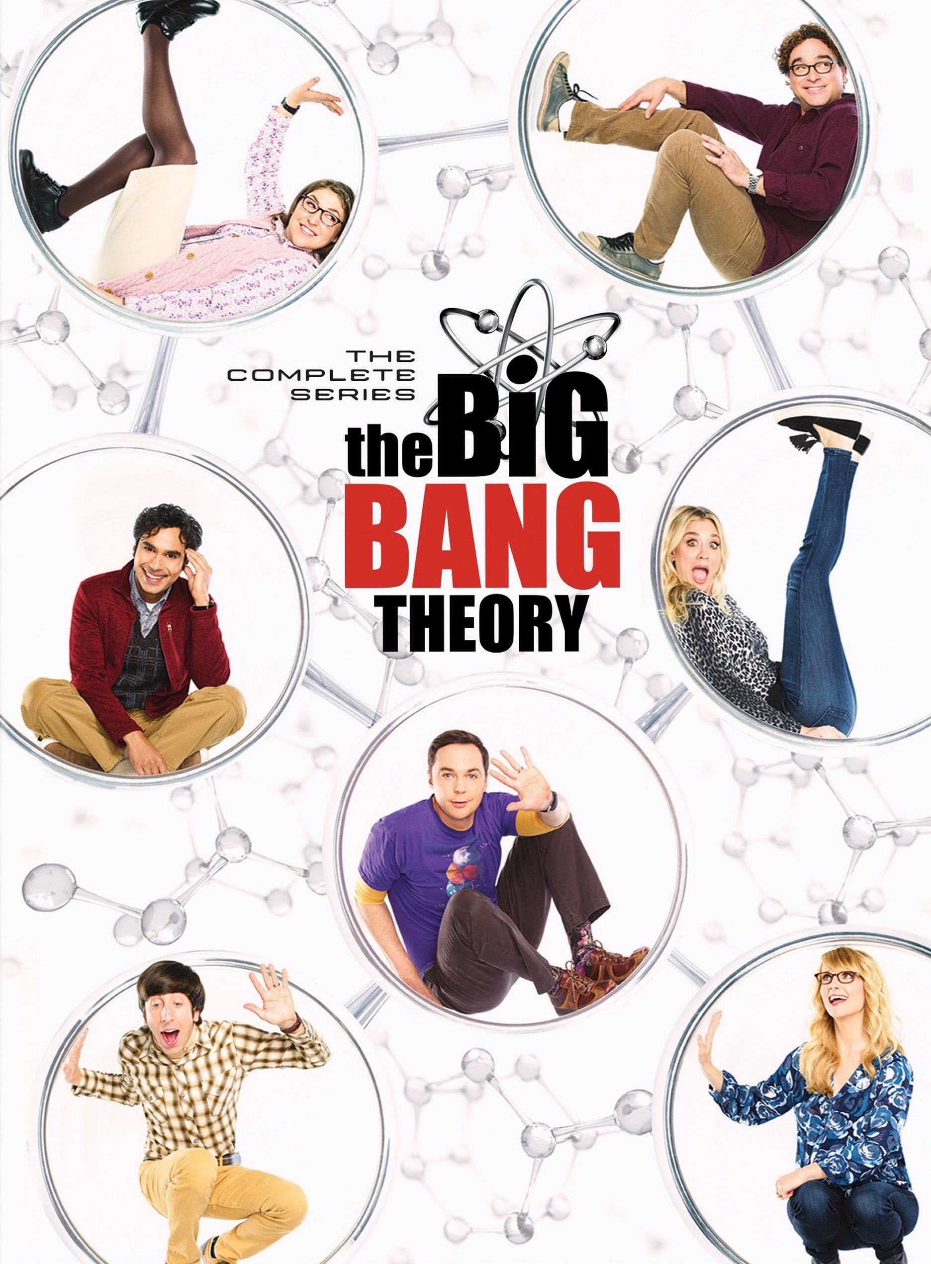 Big Bang Theory, The: Seasons 6-10 (DVD Set) [DVD] - Walmart.com