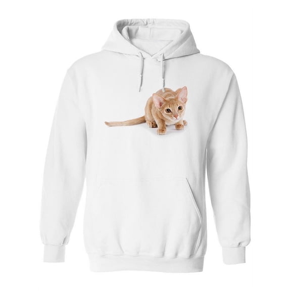 British Abyssinian Kitten Hunt  Hoodie Women -Image by Shutterstock, Female Small