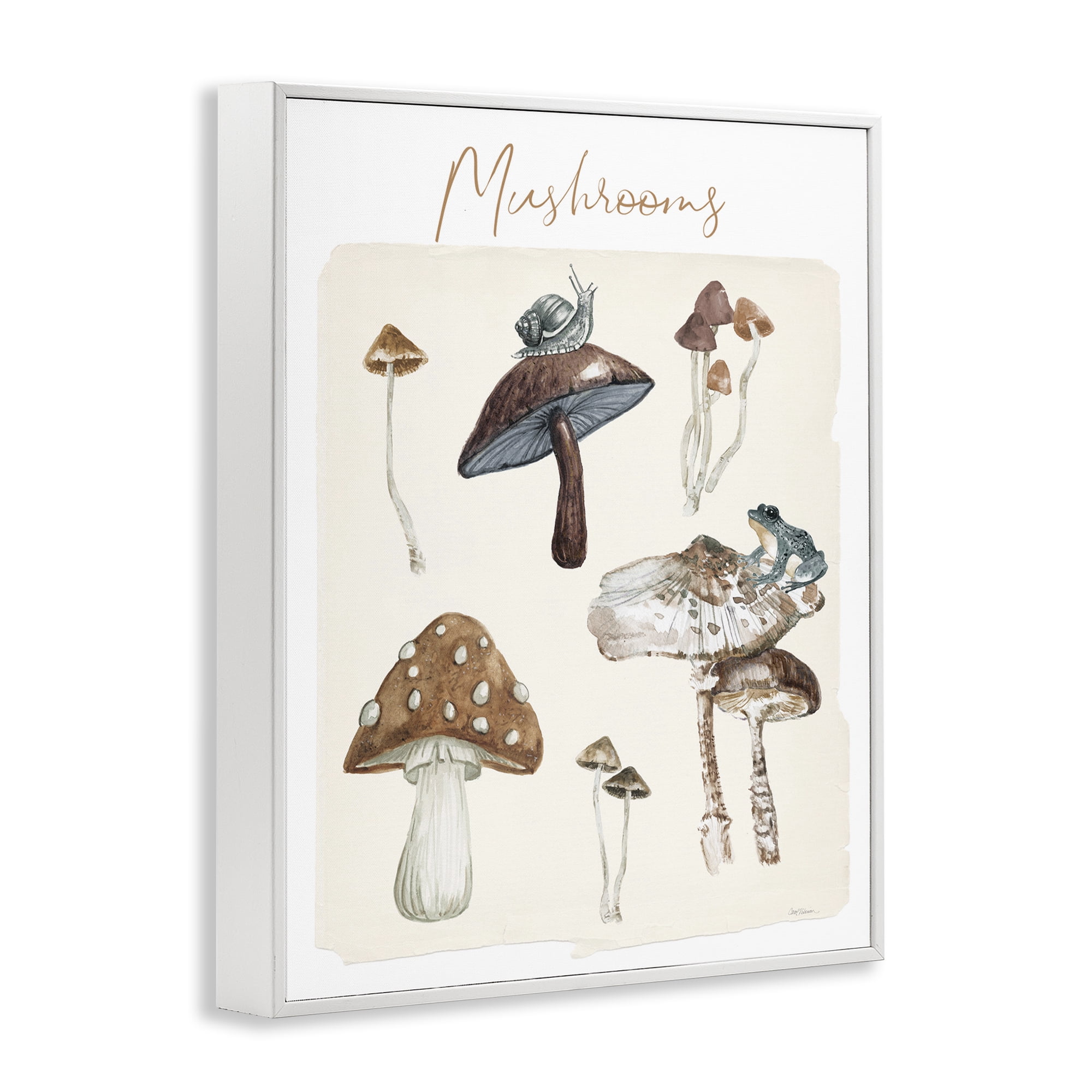 Stupell Industries Assorted Mushrooms Study Botanical & Floral Painting White Framed Art Print Wall Art, 24 x 30