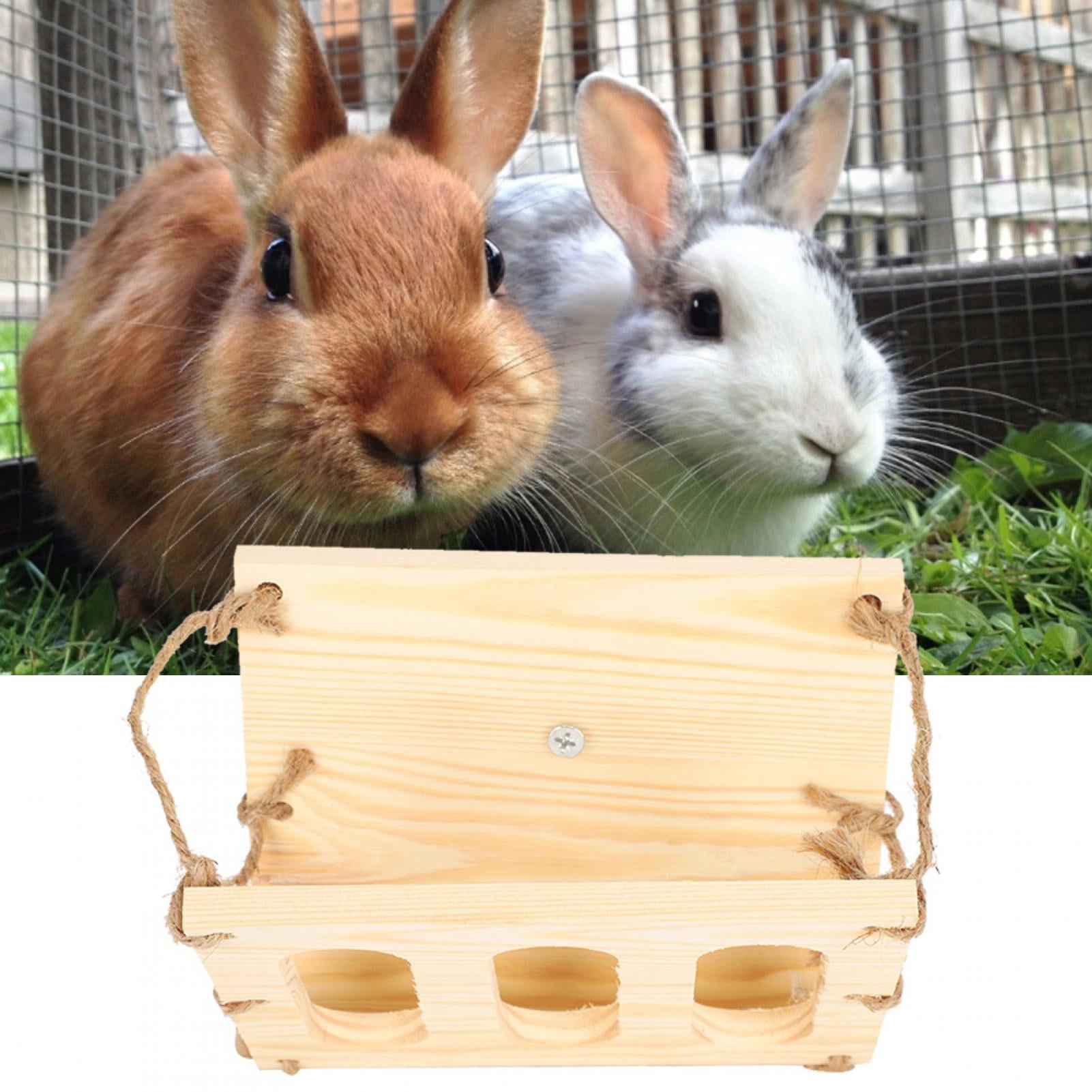 rabbit feeder walmart