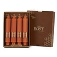 thumbnail image 2 of ROOT Unscented Grecian Collenettes Taper Candles, 7-Inch Tall, Box of 4, Rust, 2 of 2