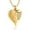 Gold, variant on Heart Cremation Jewelry for Ashes Urn Necklace Lockets for Human Ashes Pet Ashes Holder Necklace That Opens Inside Pendent for Ashes and Chain