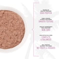 thumbnail image 5 of (6 pack) Tiki Cat Grill Pate Wet Cat Food, Sardines, 2.8 oz. Can, 5 of 9