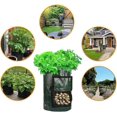 thumbnail image 3 of KAIYANG Paquete de 6 bolsas para cultivar patatas, bolsas de cultivo de 10 galones para patatas, tomates, zanahorias y otras verduras, con asas, 3 of 5