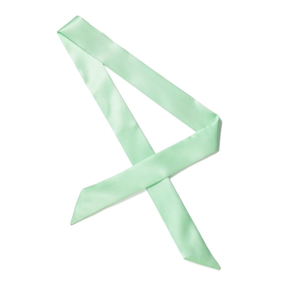 Namzi Ribbon Scarf Handbag Wrap Handle Satin Belt Sash Necktie Neck Scarf,Light Green
