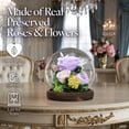 thumbnail image 3 of GLAMOUR BOUTIQUE Preserved Flowers Rose in Glass Dome w/Light - Long Lasting Flowers, Flower Gifts for Women for Any Occasion - Home Decor, Comes w/Thick Gift Box - Glass Rose Flowers - Light Purple, 3 of 9