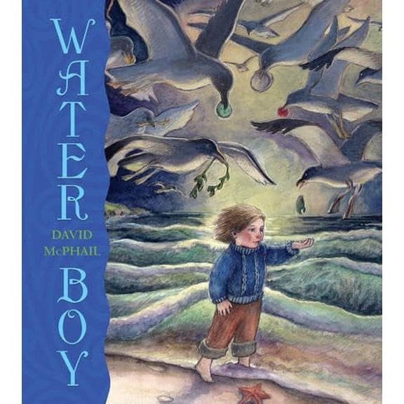 Pre-Owned Water Boy (Hardcover)