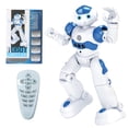 thumbnail image 2 of DPTALR RC Gesture Sensor Dance Robot Programable Inteligente Electric Sing Remote Control Educational Humanoid Robotics Toys For Boys, 2 of 2
