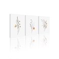 thumbnail image 1 of 3pcs Floral Pattern Unframed Painting, Abstract Wall Art Prints For Home Decor, 1 of 5