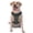 With Accessories, variant on Vsdgher River Freshwater Fish Pattern Dog Harness,No Pull Pet Harness with Soft Padded Handle,Adjustable Reflective Vest with 2 Buckles,4 Slide Buckles,S-XL Medium