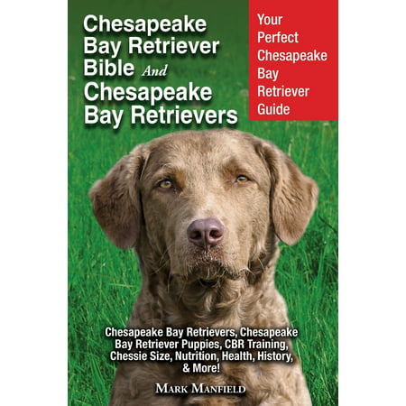 Chesapeake Bay Retriever Bible and Chesapeake Bay ...