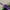Purple, variant on WNEXOPE Mini Trowel Set Colorful Metal Hand Shovel Garden Tools for Soil Planting Digging Transplanting