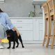 thumbnail image 1 of unbranded Para Jaula De Perro Con Resistencia Y Antihumedad Oscuro, 1 of 8
