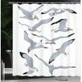 thumbnail image 4 of Ambesonne White Shower Curtain, Flying Seagulls Cartoon, 69"Wx70"L, Black White, 4 of 5