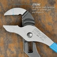 thumbnail image 4 of CHANNELLOCK 10-inch Straight Jaw Tongue & Groove Pliers, 2-inch Jaw Capacity, Made in USA (430), 4 of 17