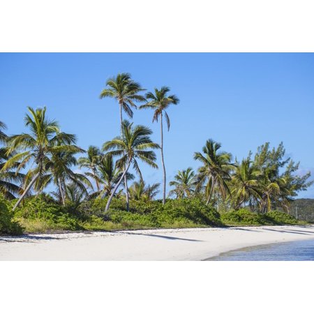 Tihiti beach, Elbow Cay, Abaco Islands, Bahamas, West Indies, Central America Print Wall Art By Jane