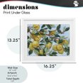 thumbnail image 4 of Stupell Industries Modern Sunshine Citrus Tree White Framed Print Under Glass, 16 x 13, by June Erica Vess, 4 of 8