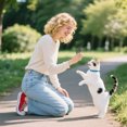thumbnail image 4 of Interactive Spring Cat Toy Tube for Playful Bouncing Self Entertainment Activity with Durable Construction, 4 of 4