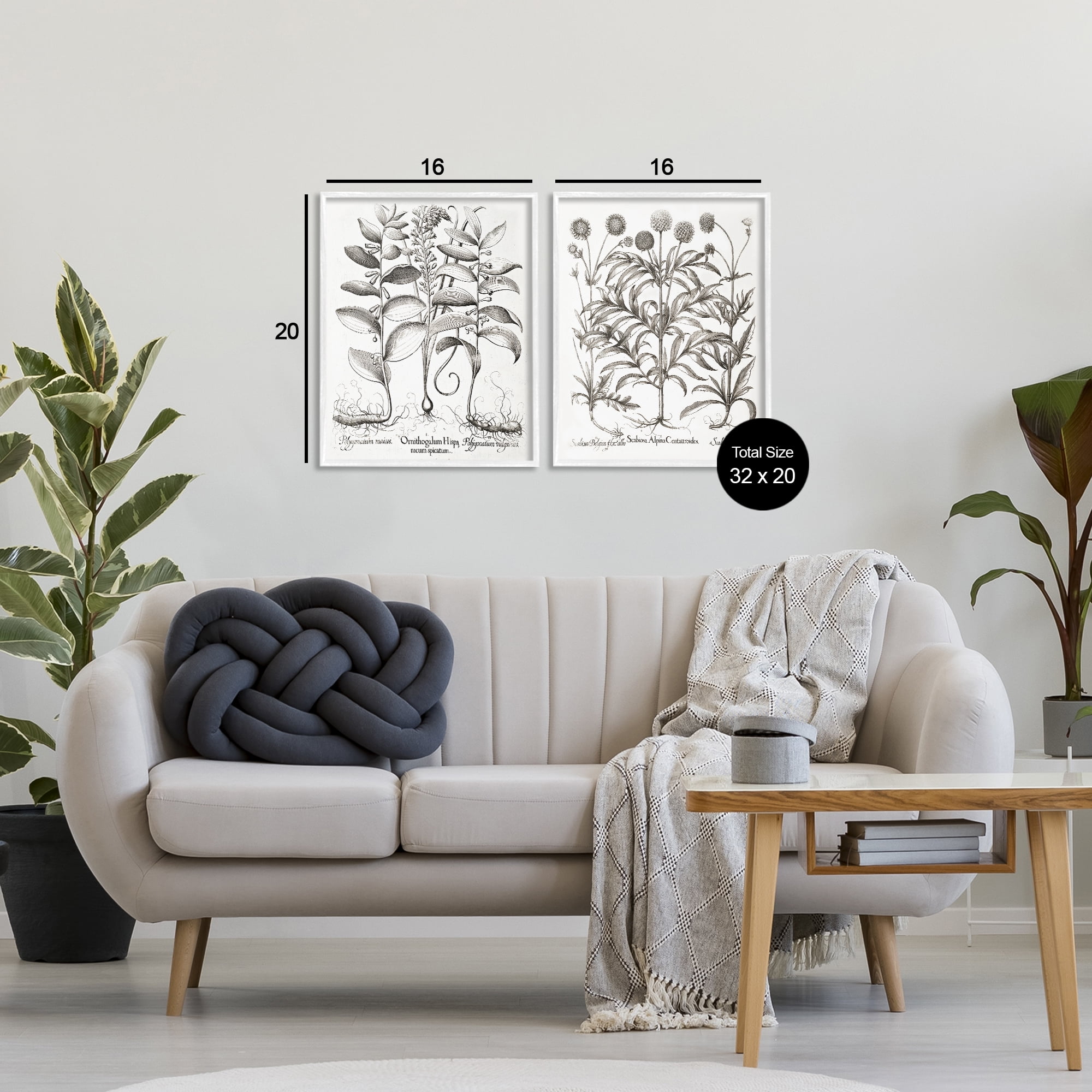 Botanical Root & Plant Studies 2 Piece White Framed Giclee Art Set, design by Lettered and Lined
