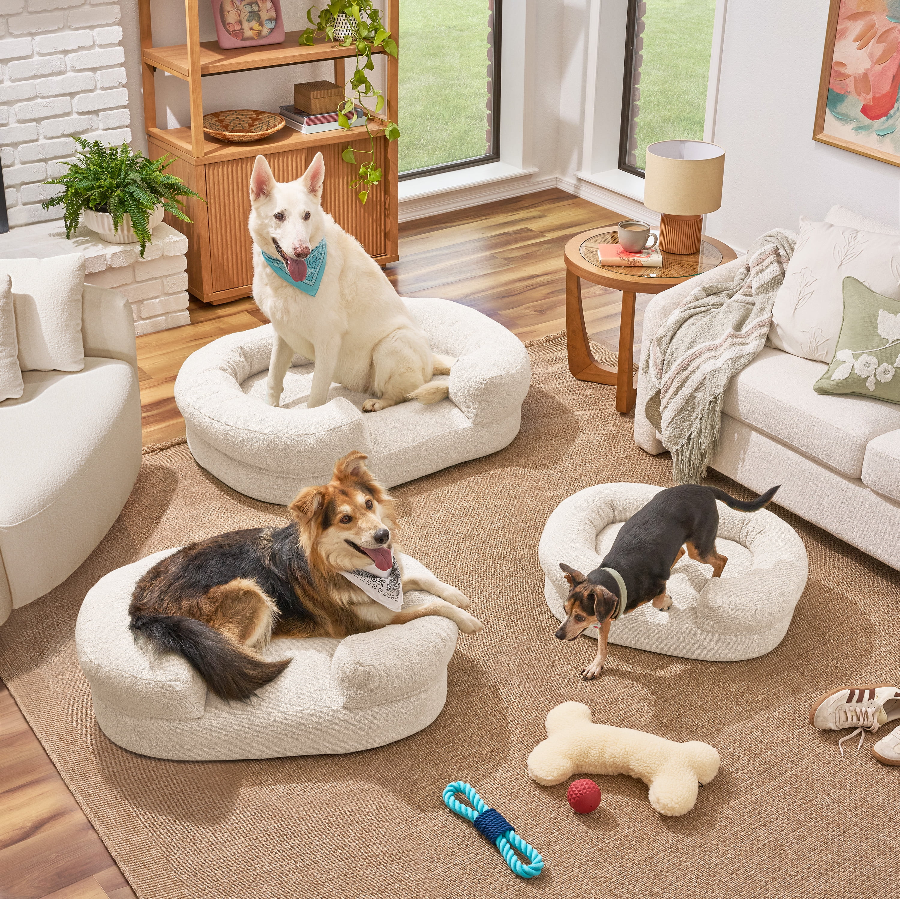 Beautiful Bolster Large Pet Bed, 44 x 34 x 25in, Ivory by Drew Barrymore