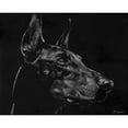 thumbnail image 3 of Chapman, Julie T. 14x12 Black Modern Framed Museum Art Print Titled - Canine Scratchboard XVI, 3 of 5