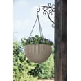 thumbnail image 2 of Hanging Rattan Resin Planter Set of 2, Sandy Beige, 2 of 6