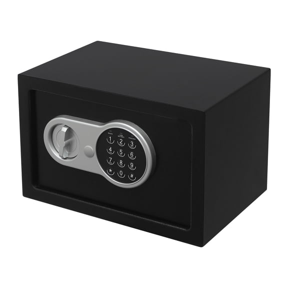 High-Security Lock Box, Dual Protection with Electronic Password and Mechanical Key, Spacious Safe for Cash, Documents, Jewelry, and Valuables