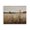 Misty Meadow Wildflowers Landscape, variant on Stupell Industries Wildflowers & Wheat Meadow Black Framed Floater Canvas Wall Art, design by Creative Studio
