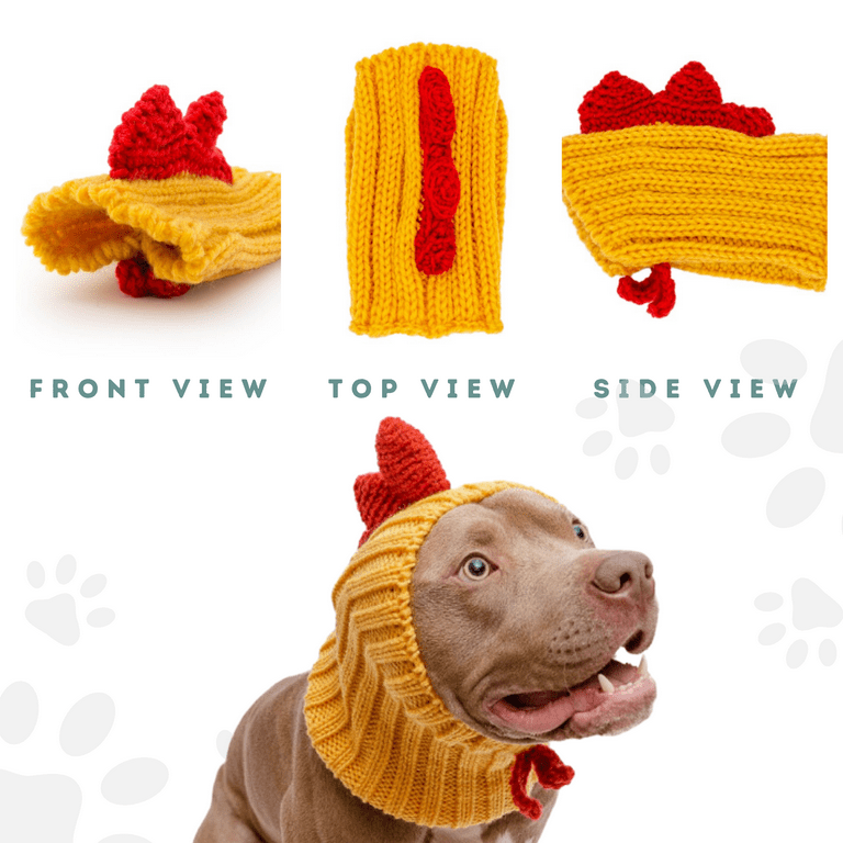 Chewy Bear Dog Jacket - Frenchie Complex Shop