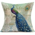thumbnail image 2 of Throw Pillow Covers 2Pack Colorful Peacock with Vintage Feather Decorative Square Pillowcases Cotton Linen Throw Pillow Case Cushion Cover 18 X 18 Inch (Peacock Tail), 2 of 5