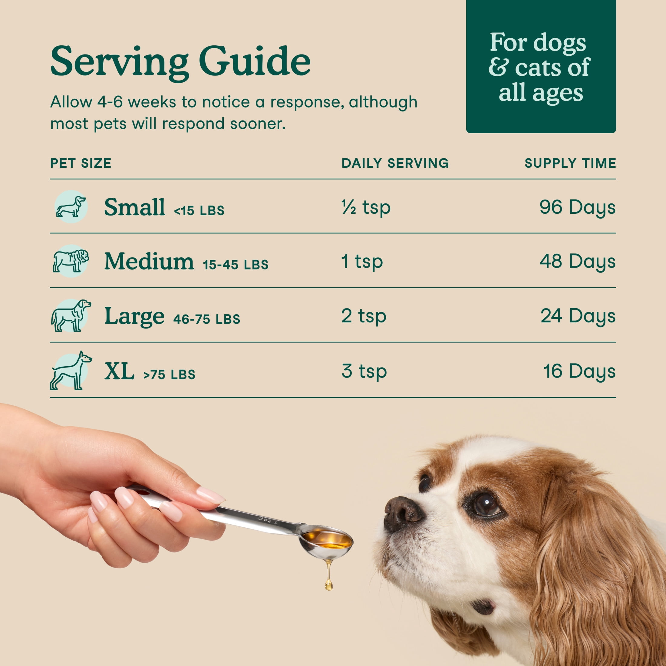 Fera Pets Algae Oil for Dogs & Cats with Vitamin E - Vegan Omega-3s - Immune, Heart, Brain & Skin Support - 8 oz