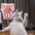 thumbnail image 1 of Pantalones Fisiológicos Para Perros, 1 of 3