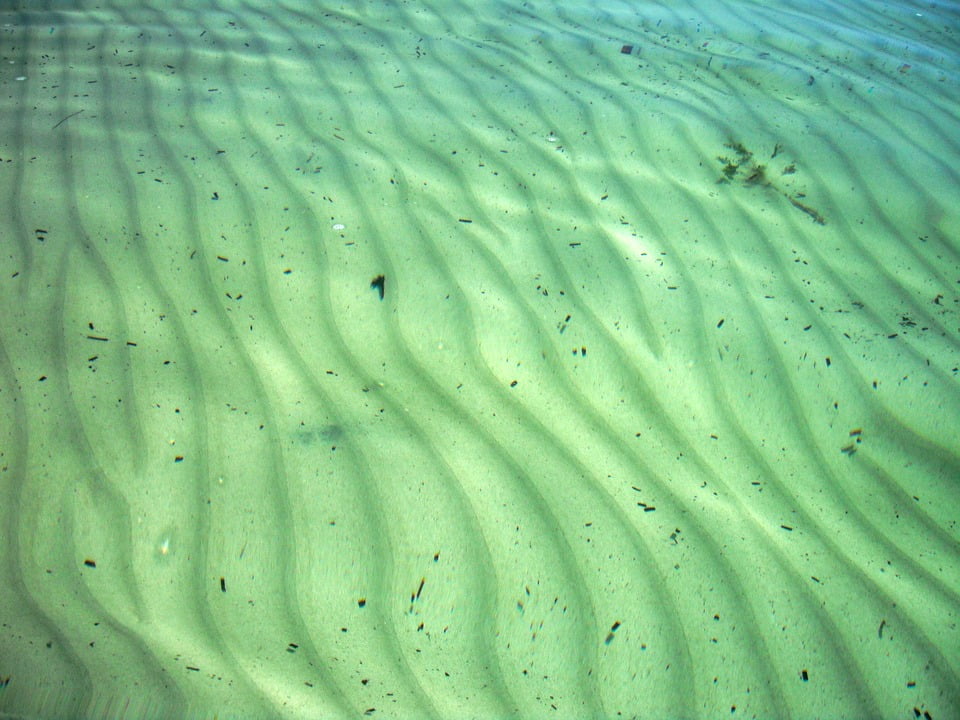 Laminated Poster Underwater Clear Ocean Floor Sand Ripples Green