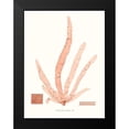 thumbnail image 2 of Vision Studio 12x14 Black Modern Framed Museum Art Print Titled - Vivid Coral Seaweed VI, 2 of 5