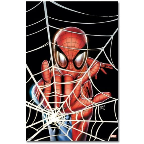 Spider-Man - Marvel Comics Poster (Spidey in Web) Poster Print, 22x34 Poster Print, 22x34 College Poster Print, 22x34