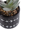 thumbnail image 3 of hometrends Taboo Mini Faux Succulent, 3 of 7
