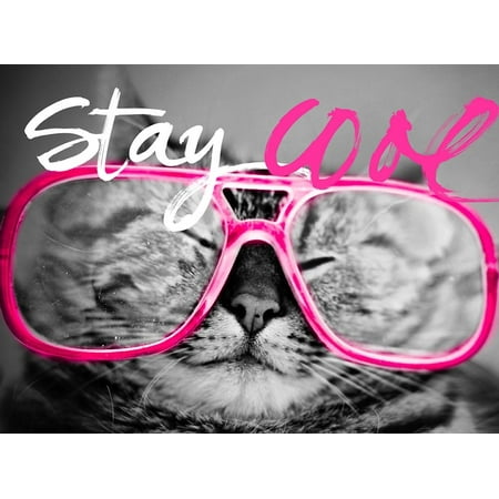  Stay Cool Cat  Poster Print by SD Graphics Studio Walmart com