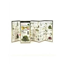 FoldingGuides: Sibley's Common Trees in the Cities & Towns of the Mid-Atlantic & Midwest (Other)