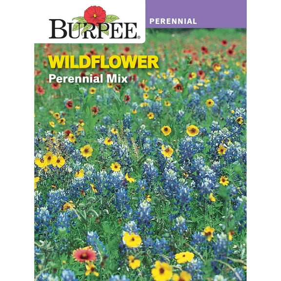Burpee Perennial Mix Wildflower Flower Seed, 1-Pack