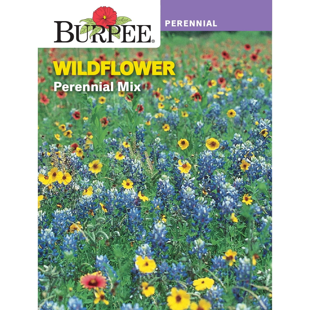 Burpee Perennial Mix Wildflower Flower Seed, 1pack