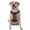 With Accessories, variant on Vsdgher Moonlit Hairless Cat Monk Pattern Dog Harness,No Pull Pet Harness with Soft Padded Handle,Adjustable Reflective Vest with 2 Buckles,4 Slide Buckles,S-XL