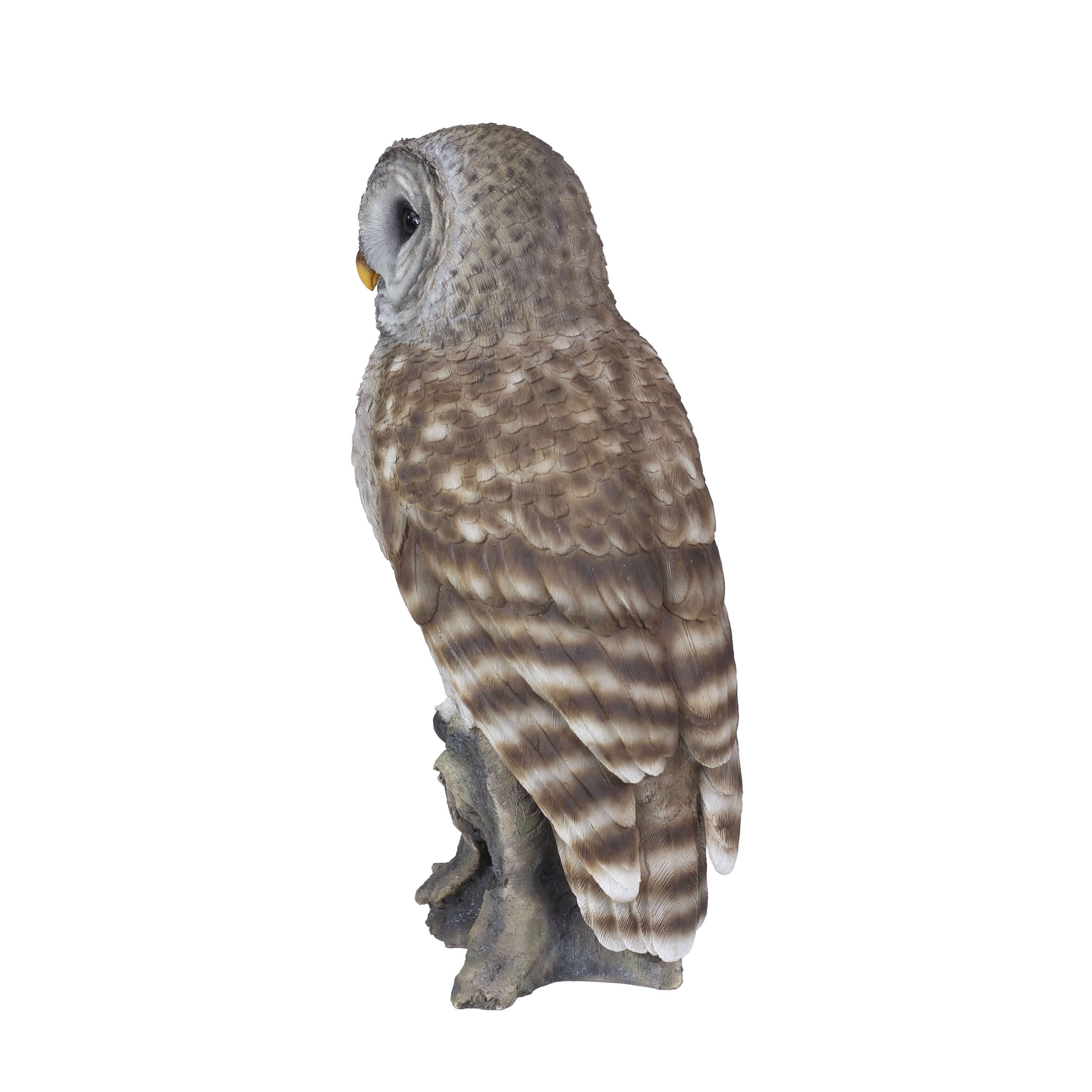 SOREAL Brown Barred Owl on branch | Handcrafted Decorative Bird Statue for Home & Garden | Premium Polyresin, Weather-Resistant Indoor/Outdoor Decor